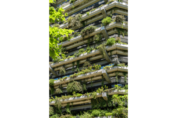 Sustentabilidade Ambiental